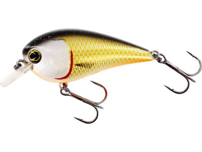 westin-Crankbait-bassbite