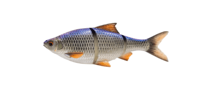 SG 3D LT Roach 25cm finns i flera färger