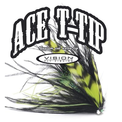 Vision ACE SKAGIT