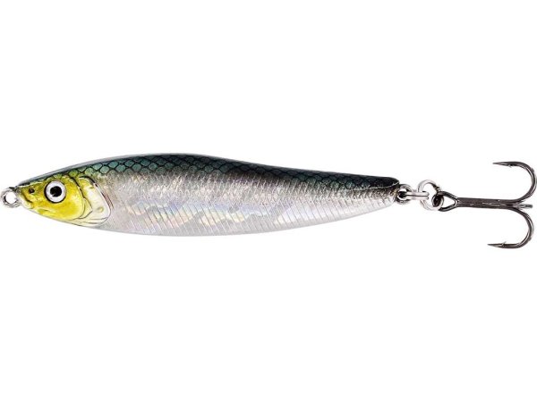 skeddrag-havsöring-sommarfiske-ädelfisk
