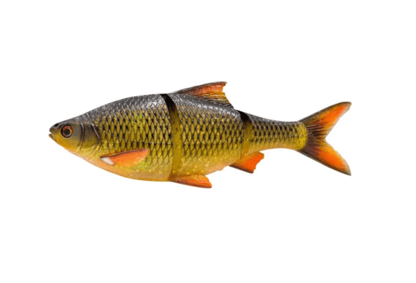 SG 3D LT Roach 25cm finns i flera färger