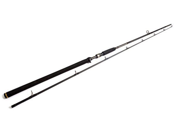 W2 Powercast-T